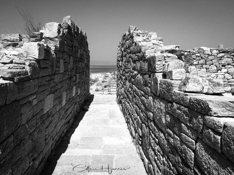 _CSH0302_v3_F_USM_Logo